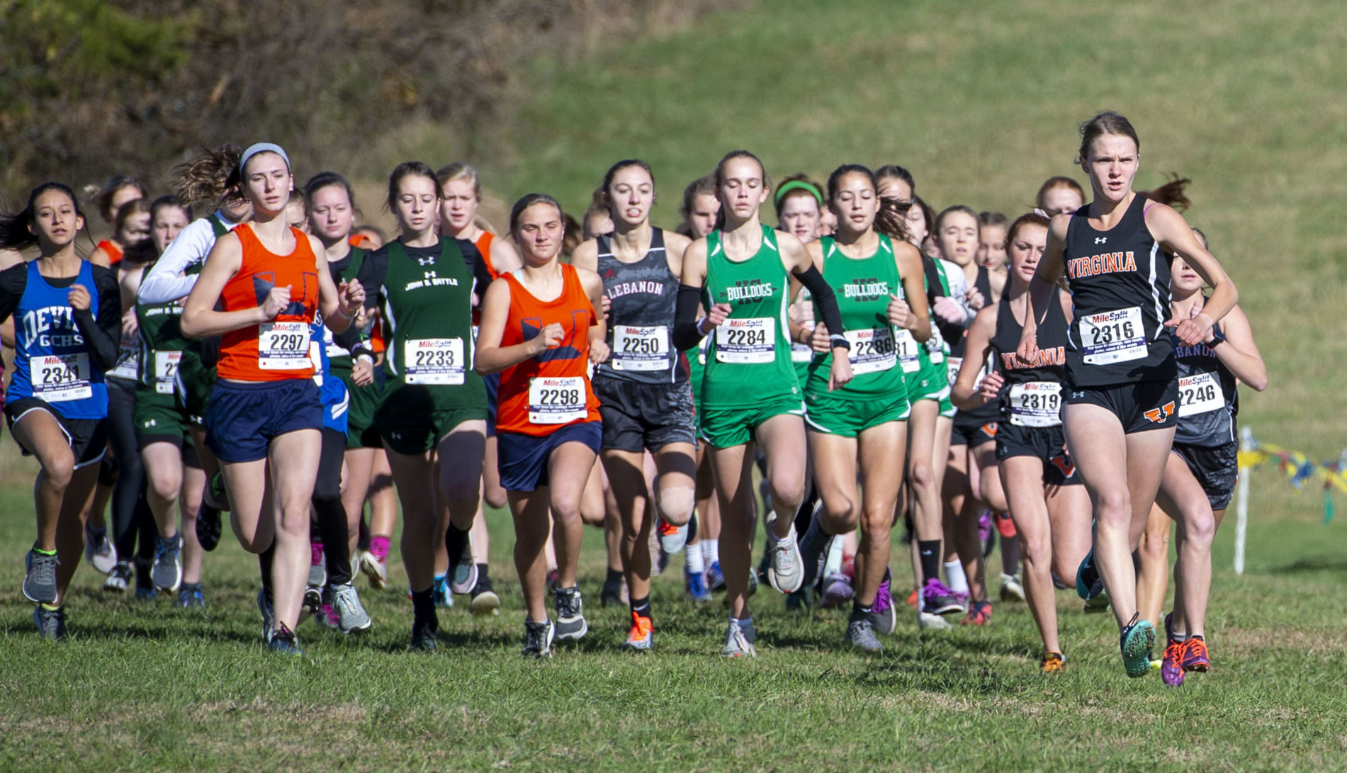 Region 2D Cross Country Championships